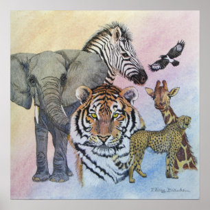 Poster Échantillon Safari