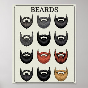 Poster Échelle d'évaluation de la barbe Drôle d'art mur