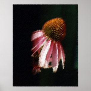 Poster Echinacea Silhouette SK