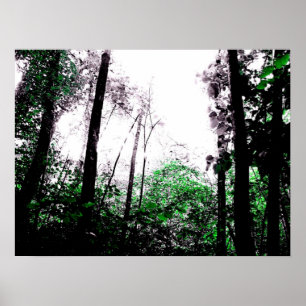 Poster Éclabousse du vert