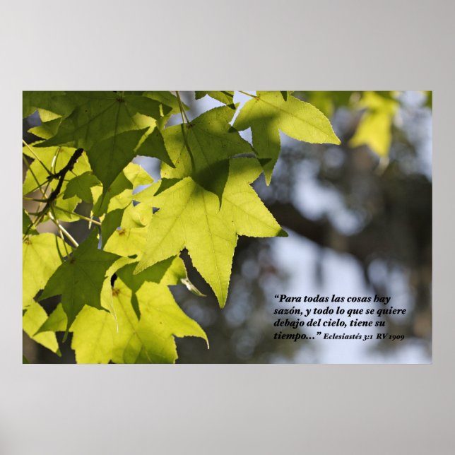 Poster Eclesiastes 3:1 con Hojas (Devant)