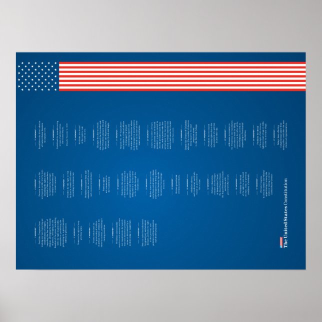 Poster Econo USA Constiution American Flag (Vorne)