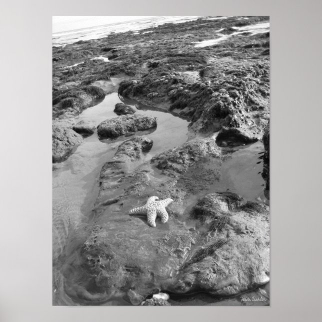 Poster Écre (Devant)