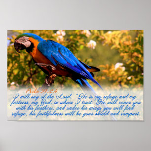 Poster Écriture : Psaume 91:2,4 avec Blue Macaw