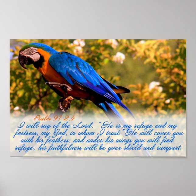 Poster Écriture : Psaume 91:2,4 avec Blue Macaw (Devant)