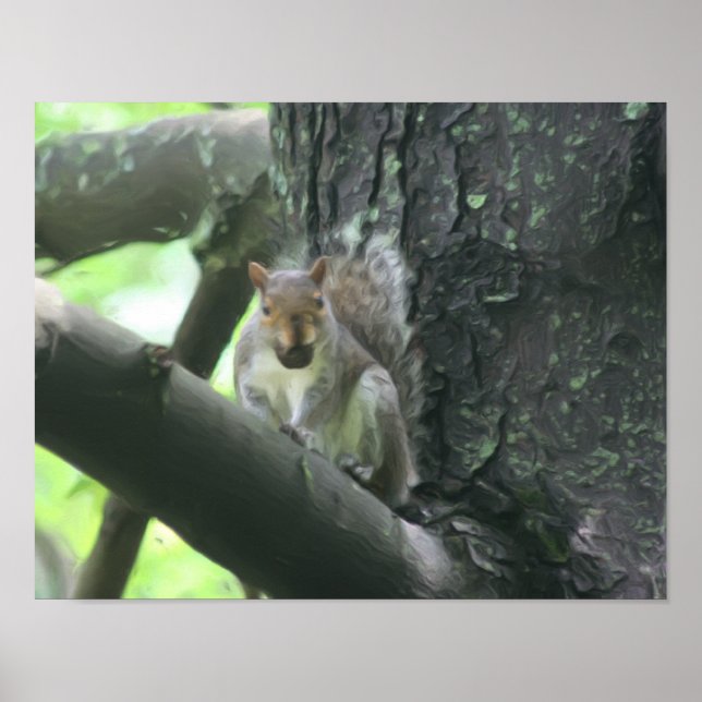 Poster Écureuil Avec Nut Nature Photo Peinture (Devant)