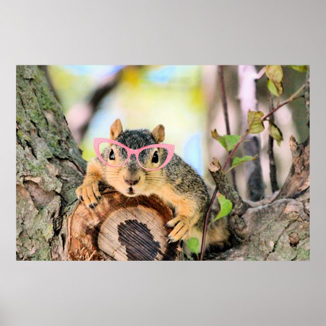 Poster Écureuil chic (Devant)