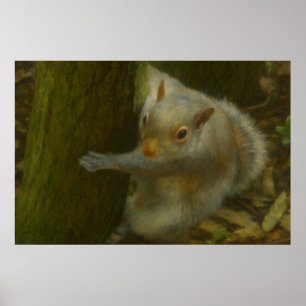 Poster Écureuil curieux - L'art faunique des bois