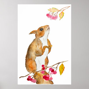 Poster Écureuil d'aquarelle drôle sur une branche avec de