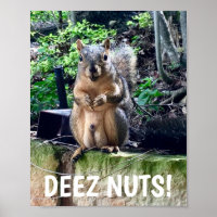 Écureuil drôle Deez Nuts Humour inapproprié