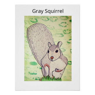 Poster Écureuil gris