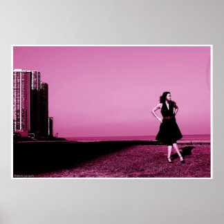 Poster Edgewater beach, ill 2006