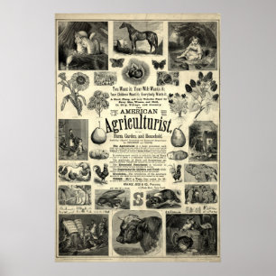 Poster Édition 1866 de The American Agriculturist
