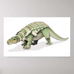 Poster Edmontonia - Portefeuille de dinosaures blindés