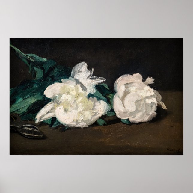 Poster Edouard Manet - Branche des pivoines blanches, sec (Devant)