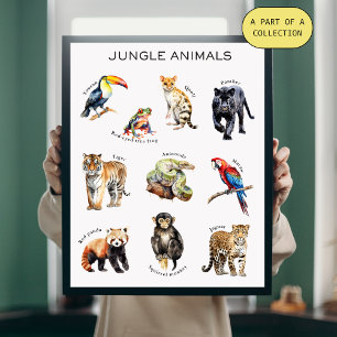 Poster éducatif Jungle Animaux