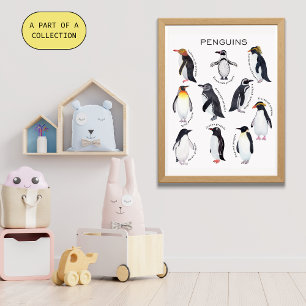Poster éducatif Penguins