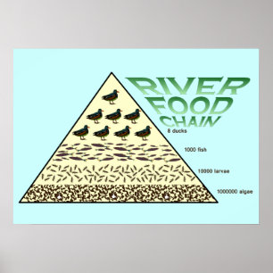 Poster Éducation, Sciences, Chaîne alimentaire fluviale