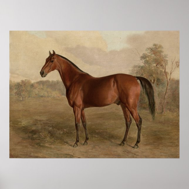 Poster Edward Troye American Horse Kentucky Woodpecker (Devant)