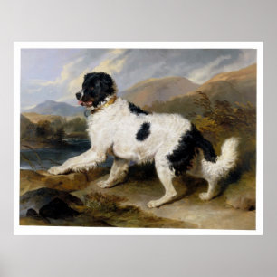 Poster Edwin Henry Landseer Lion A Newfoundland Dog