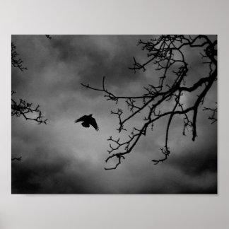 Poster Eerie Bird en vol
