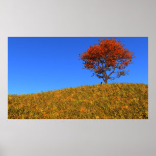 Poster Effacer l'impression du jour d'automne