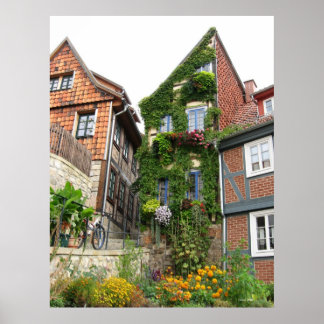 Poster effet maison verte