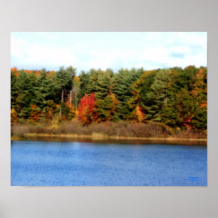 Poster Effet Orton d'étang de feuillage d'automne