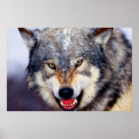 Poster effrayant Wolf