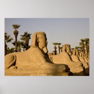 Poster Egypte, Louxor. L'avenue des Sphinxes mène à