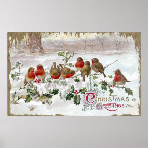 Poster Eight English Robins on Holly Vintage Christmas