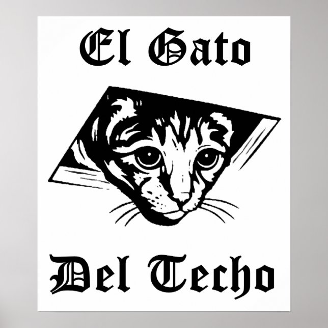 Poster El Gato Del Techo (Devant)
