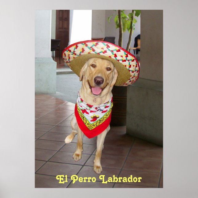 Poster El Perro (Devant)