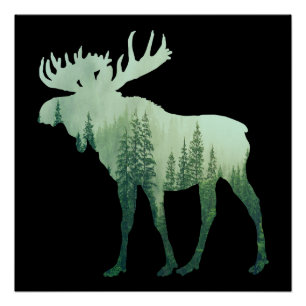 Poster Élan Cerf Et Forêt Nature