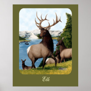 Poster Élan Wapiti