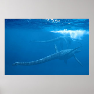 Poster Elasmosaurus : Ancienne série de monstres marins