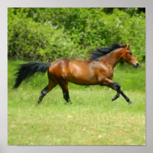 Poster Électricité