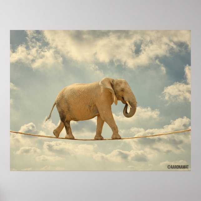 Poster Elefante (Devant)