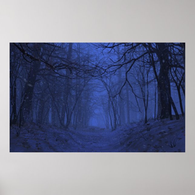 Poster Elégance (hiver/nuit) (Devant)