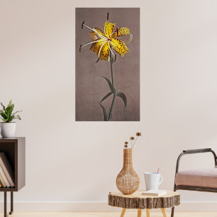 Poster Élégance intemporelle : Lily japonaise