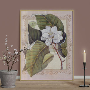 Poster Élégance Sud Vintage Magnolia botanique