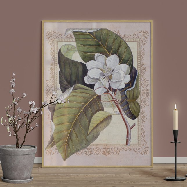 Poster Élégance Sud Vintage Magnolia botanique (Créateur téléchargé)