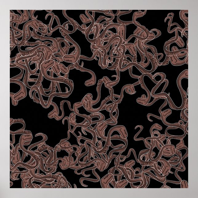 Poster Élégance venimeuse (Devant)