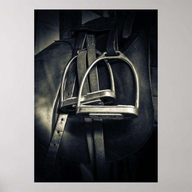 Poster Élégant bâton d'argent sur selle d'équitation angl (Devant)