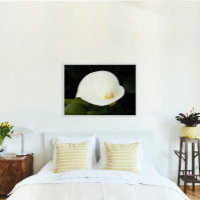 Elégant blanc Calla Lily Floral