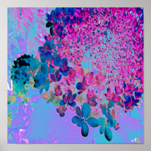 Poster Élégant bleu foncé et lumière magenta Hydrangea