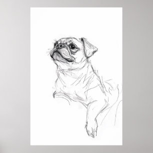 Poster Elégant Carlin Portrait Sketch - Premium