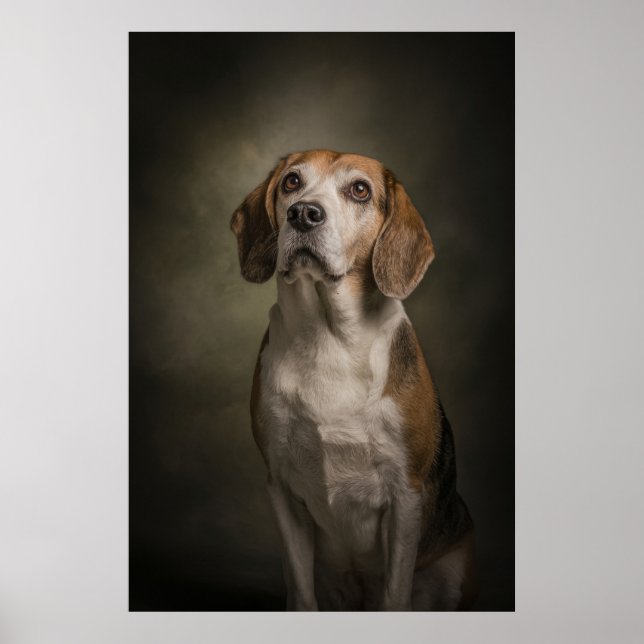 Poster Elegant Dog Silhouette (Devant)