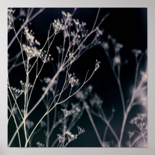 Poster Élégant floral foncé Abstrait