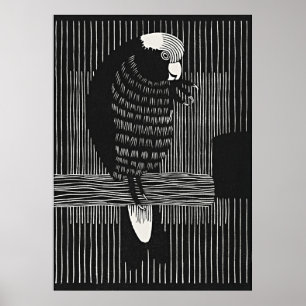 Poster Elégant Galah Cockatoos - Art rétro